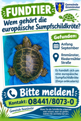 Fundtier Sumpfschildkröte